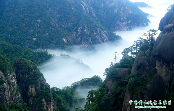 国庆假期第五天：黄山风景区烟雨朦胧，温馨服务暖客心